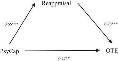 Psychological Capital Relates With Teacher Enjoyment: The Mediating Role of Reappraisal